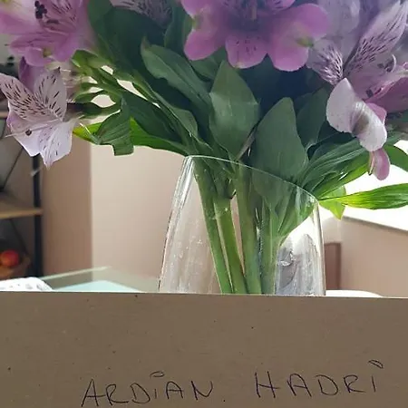 Hadri Valamar Residenz Hamallaj